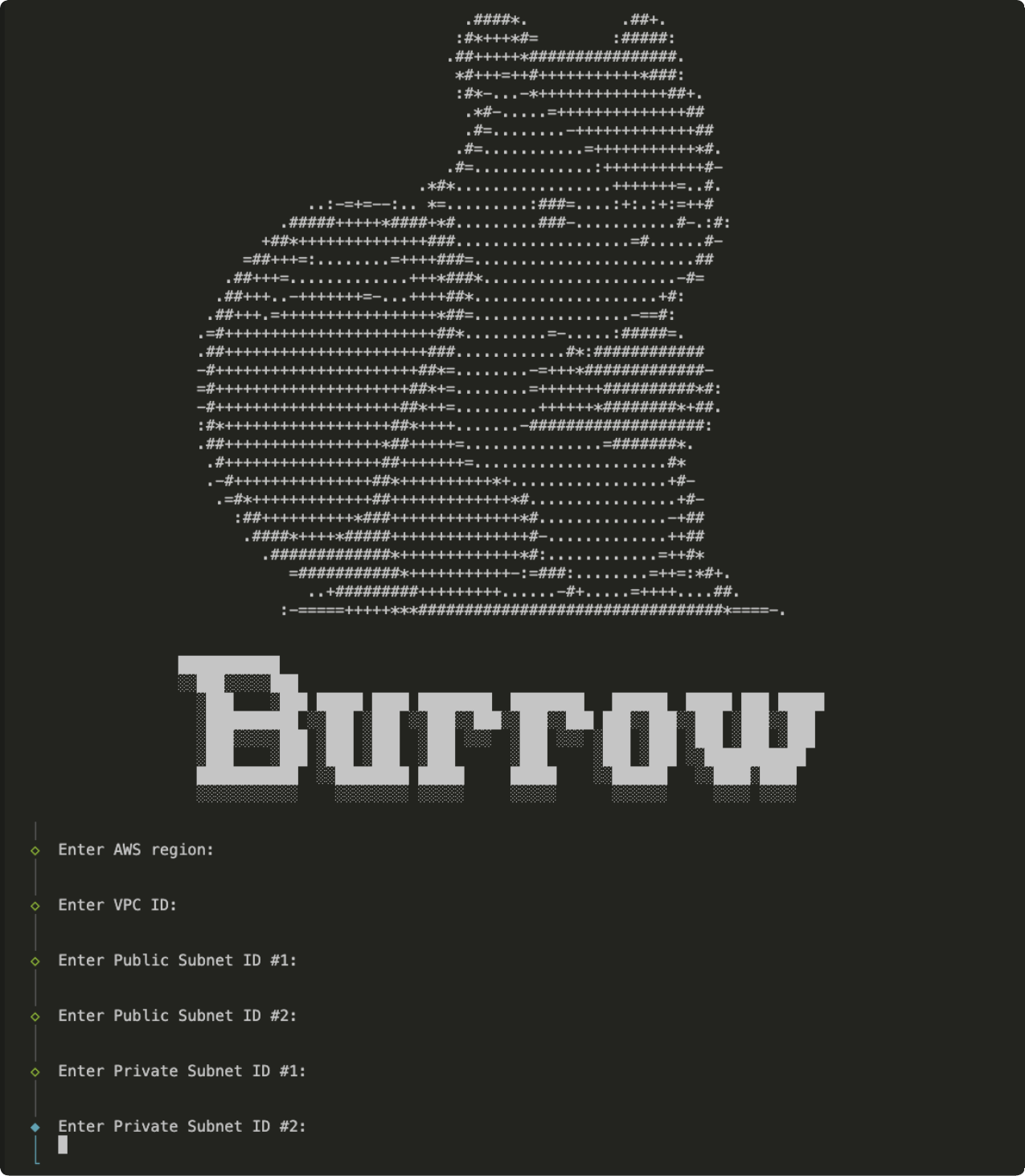 Burrow CLI Screenshot